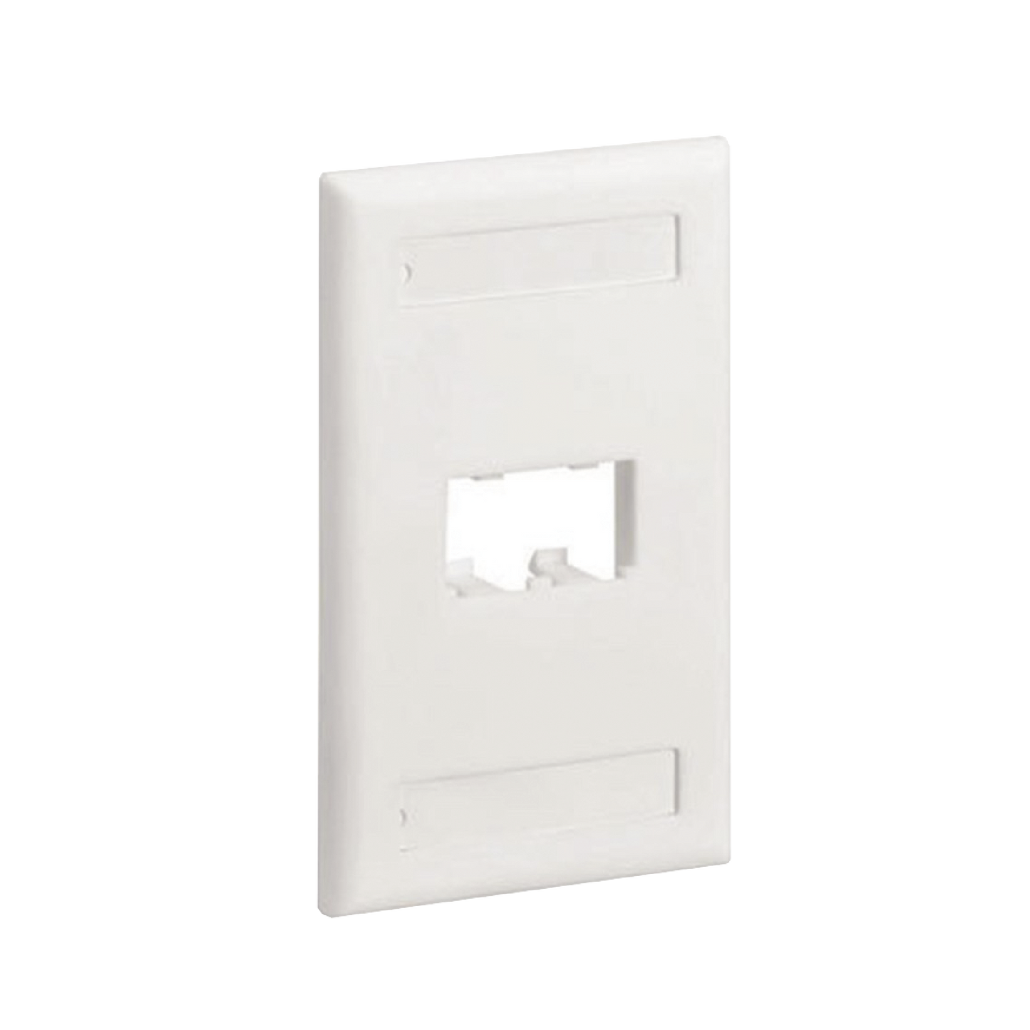 Placa de Pared Vertical Cl�sica, Salida Para 2 Puertos Mini-Com, Con Espacios Para Etiquetas, Color Blanco Mate