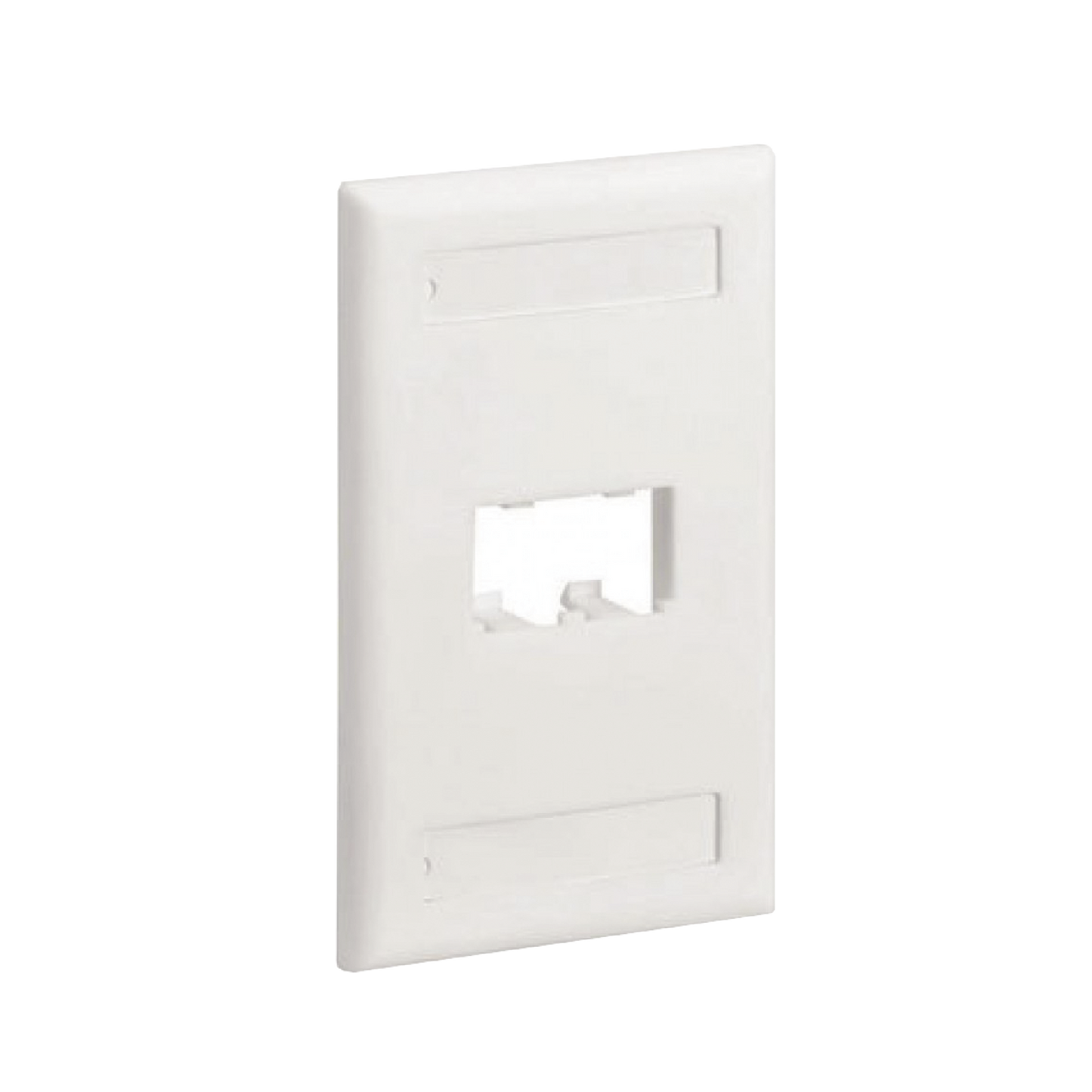 Placa de Pared Vertical Cl�sica, Salida Para 2 Puertos Mini-Com, Con Espacios Para Etiquetas, Color Blanco