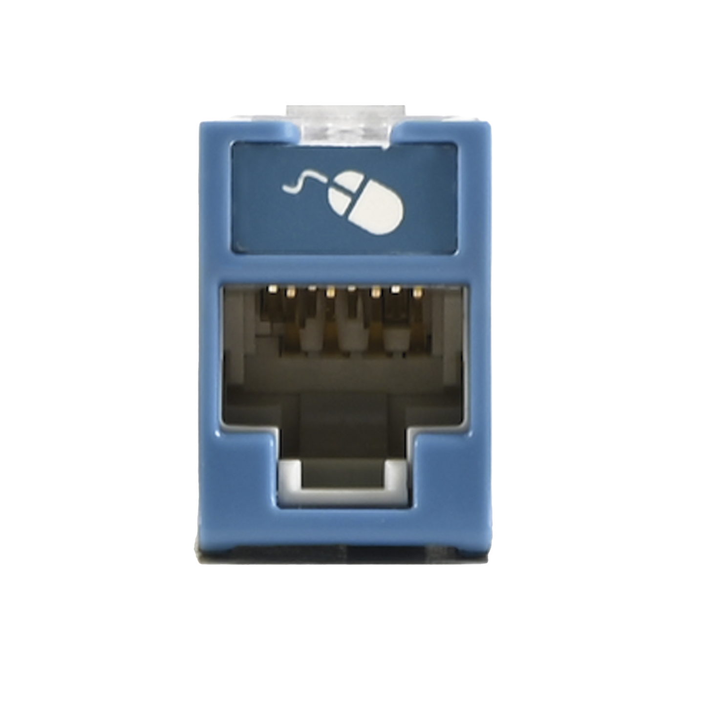 Jack UltraMAX Cat6, UTP, Montaje H�brido en Placa de Pared (Plano y Angulado), Color Azul, Punch Down