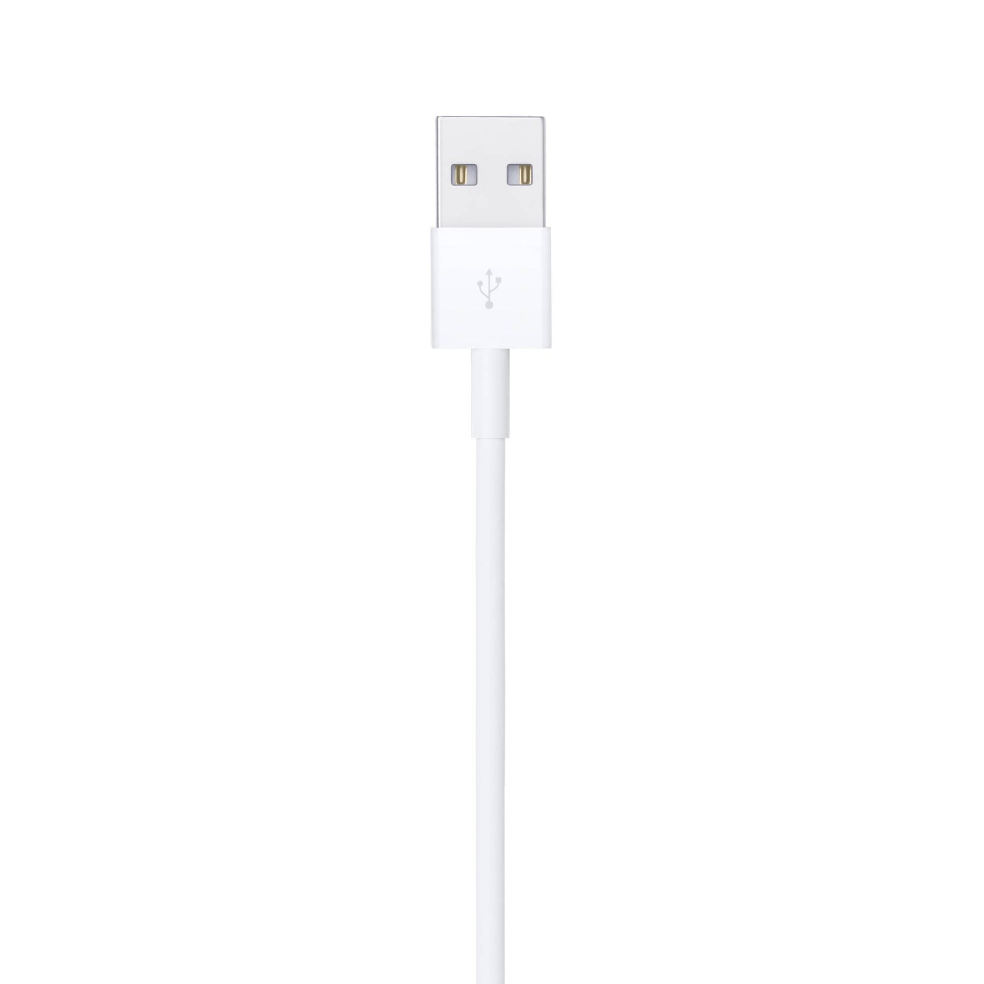 Cables Lightning APPLE MUQW3AM/A - Vista 3