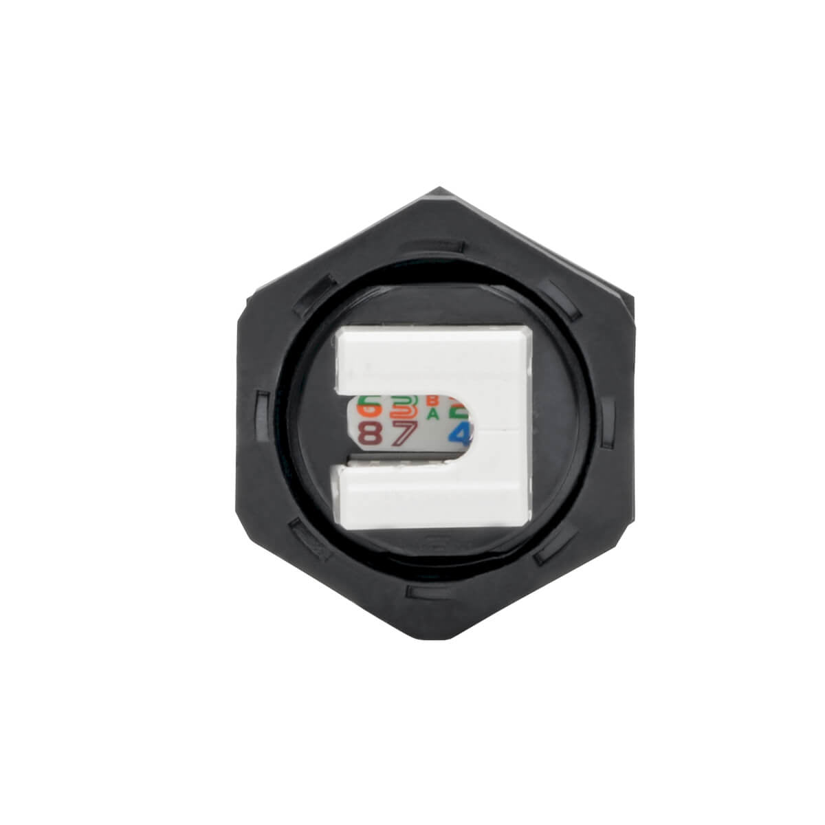 Conector Keystone  TRIPP-LITE N206-KJ01-IND - Vista 2