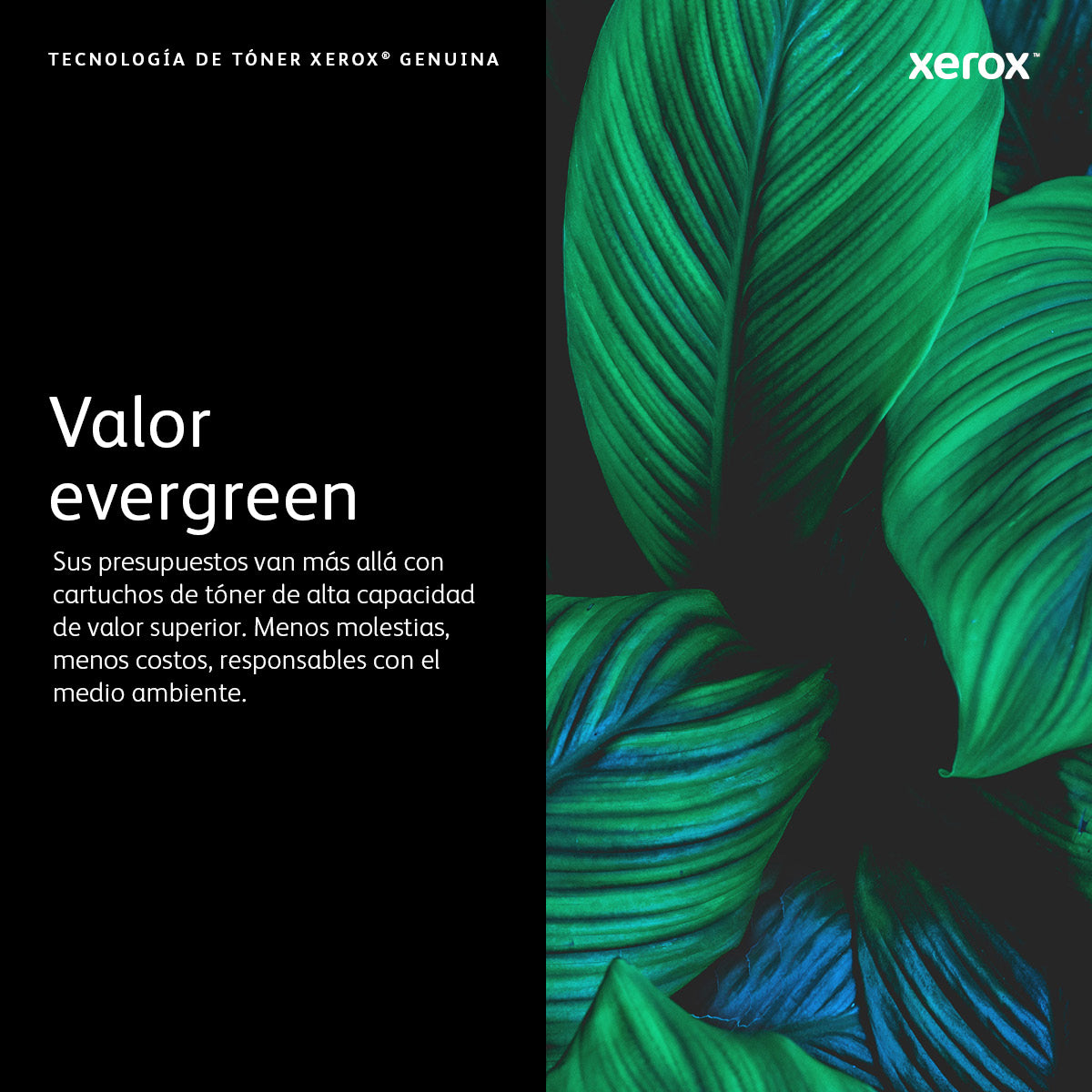 Tóner XEROX VersaLink C7020/7025/7030 - Vista 6