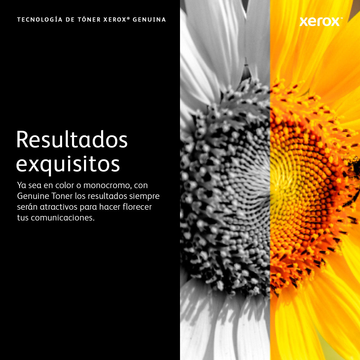 Tóner XEROX VersaLink C7020/7025/7030 - Vista 7