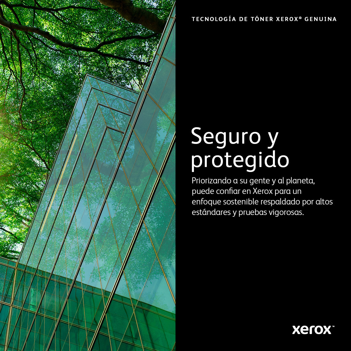 Tóner XEROX VersaLink C7020/7025/7030 - Vista 8