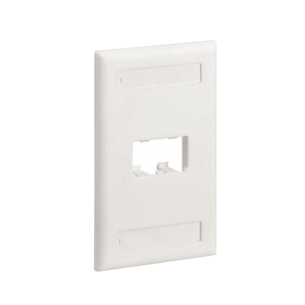 Placa de Pared Vertical Cl�sica, Salida Para 2 Puertos Mini-Com, Con Espacios Para Etiquetas, Color Blanco