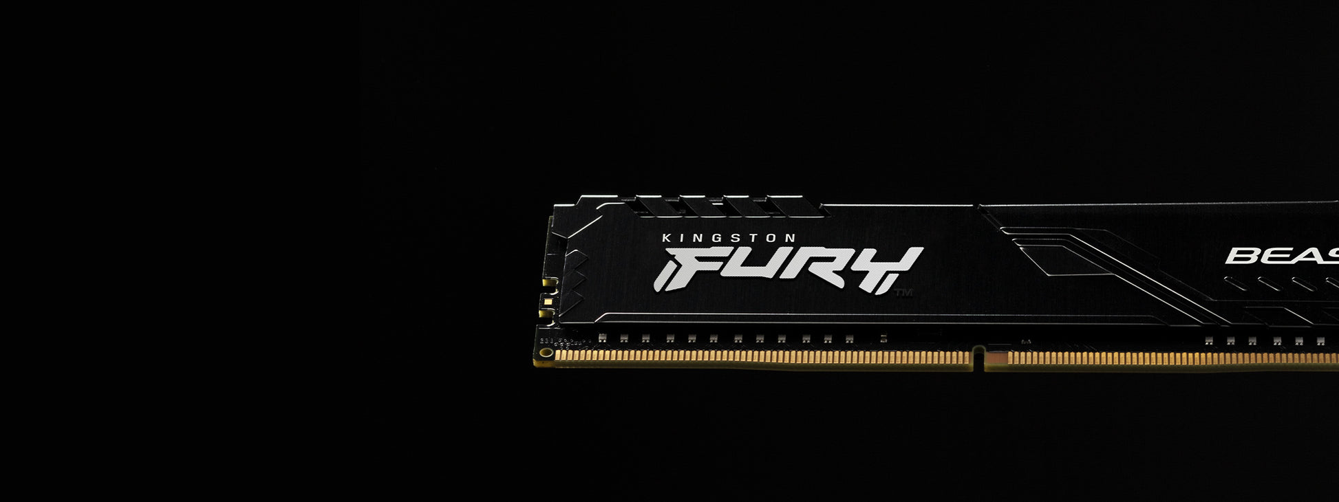 MEMORIA RAM Kingston Technology FURY Beast - Vista 7