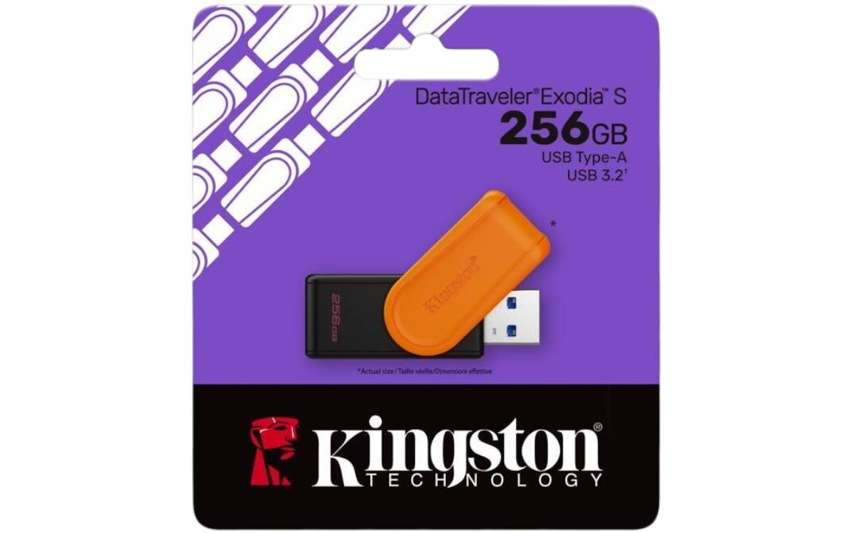 Memorias USB Kingston Technology DTXS/256GB - Vista 2