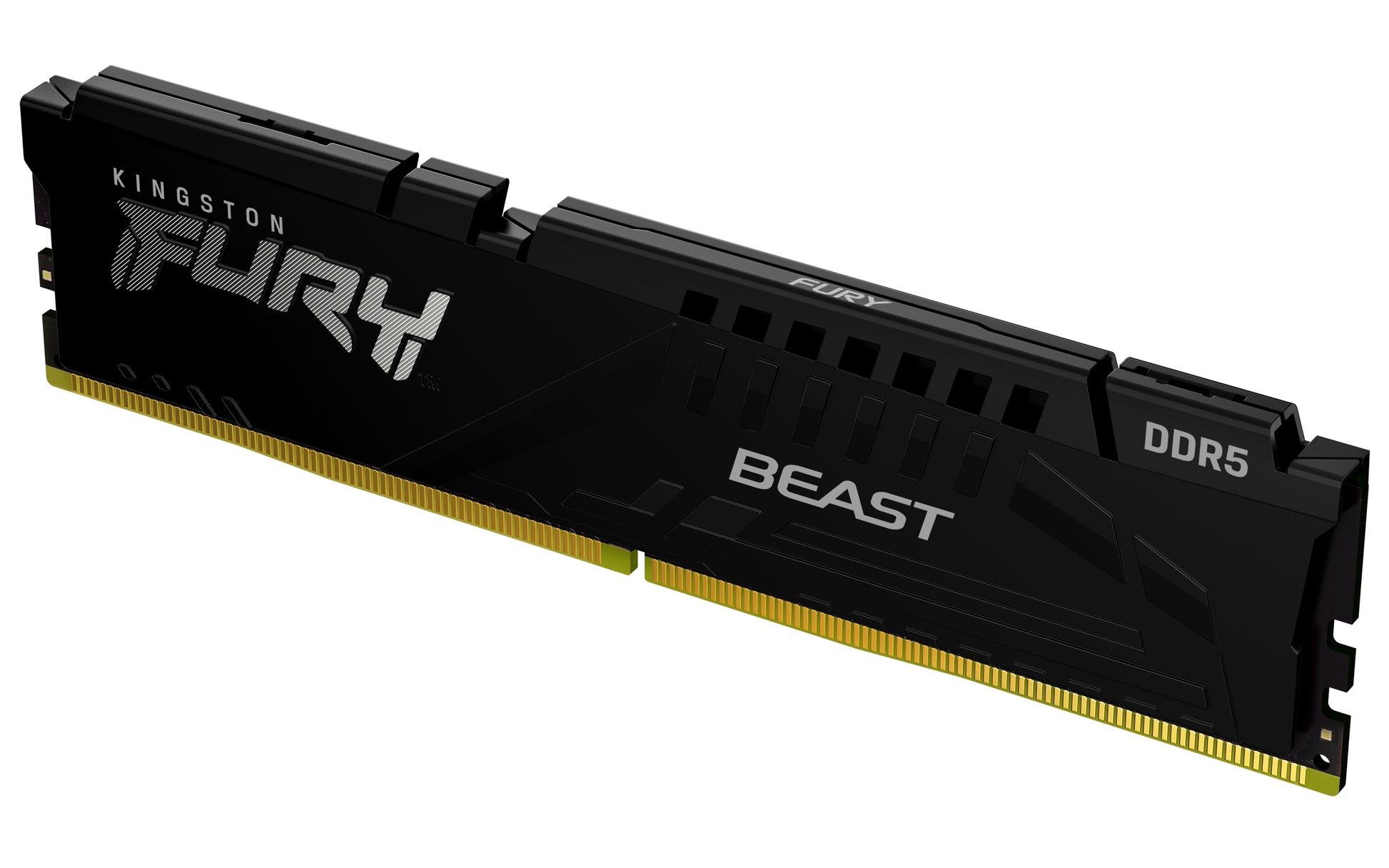 Memorias RAM Kingston Technology FURY BEAST EXPO - Vista 2