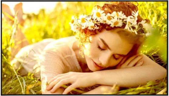 Monitor LG 43UL5Q