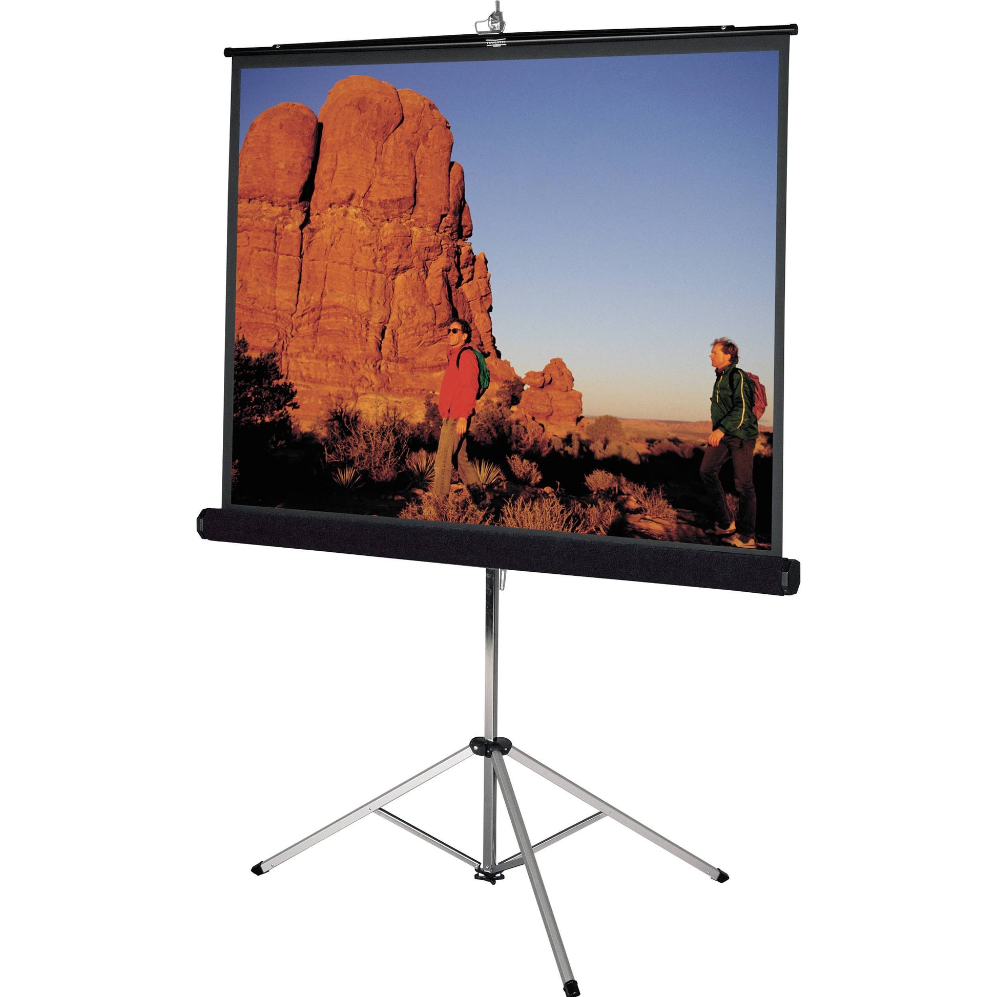 PAntalla de Proyección Multimedia Screens MST-246 - Vista 2