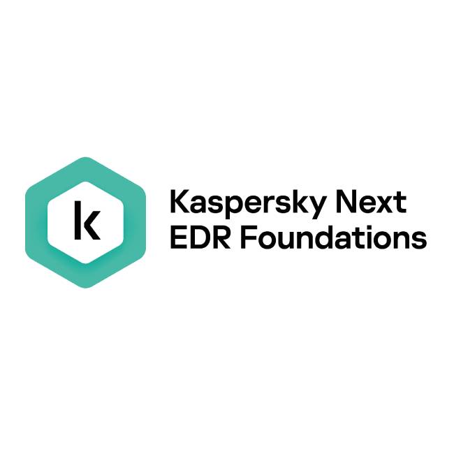KASPERSKY KL4065ZAMFS