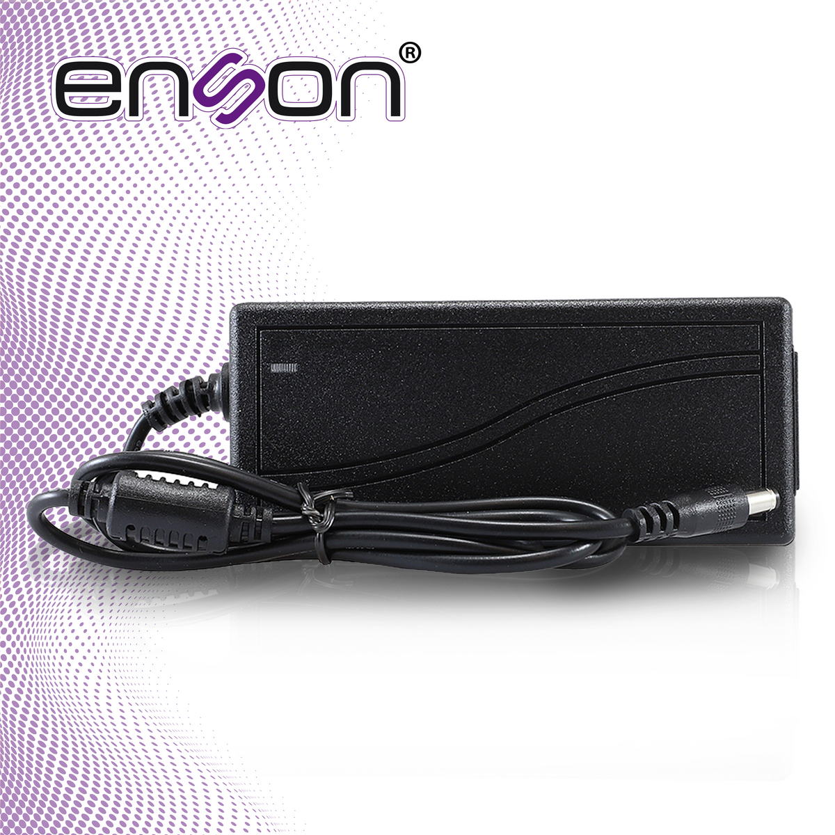 fuente de poder enson ens-pws1250 para equipos de 12v 5a ideal para equipo de cctv y control de acceso